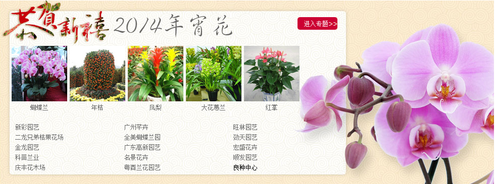年宵花