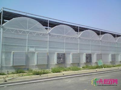 薄膜温室