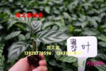所有产品