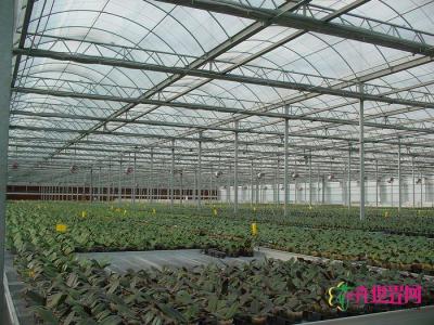 薄膜温室